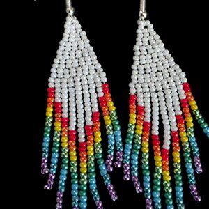 Earrings - Fringe Rainbow